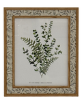 Willow Leaf Frame 10x8in