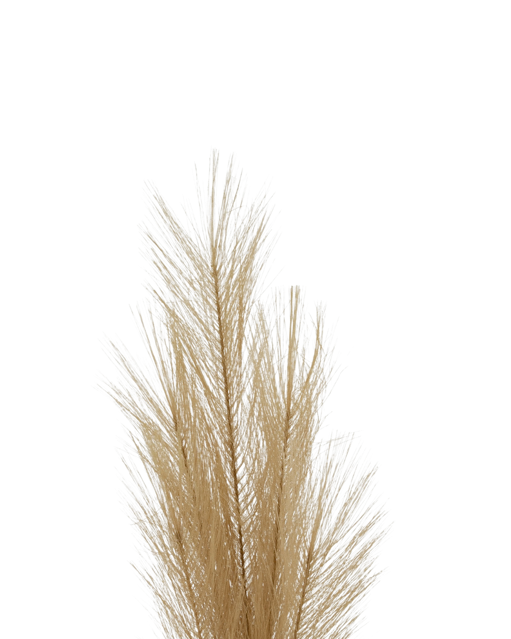 Feather Feel Faux Pampas Grass Stem