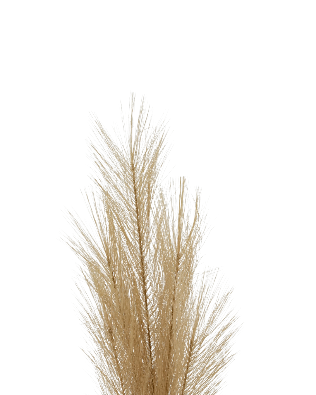 Feather Feel Faux Pampas Grass Stem