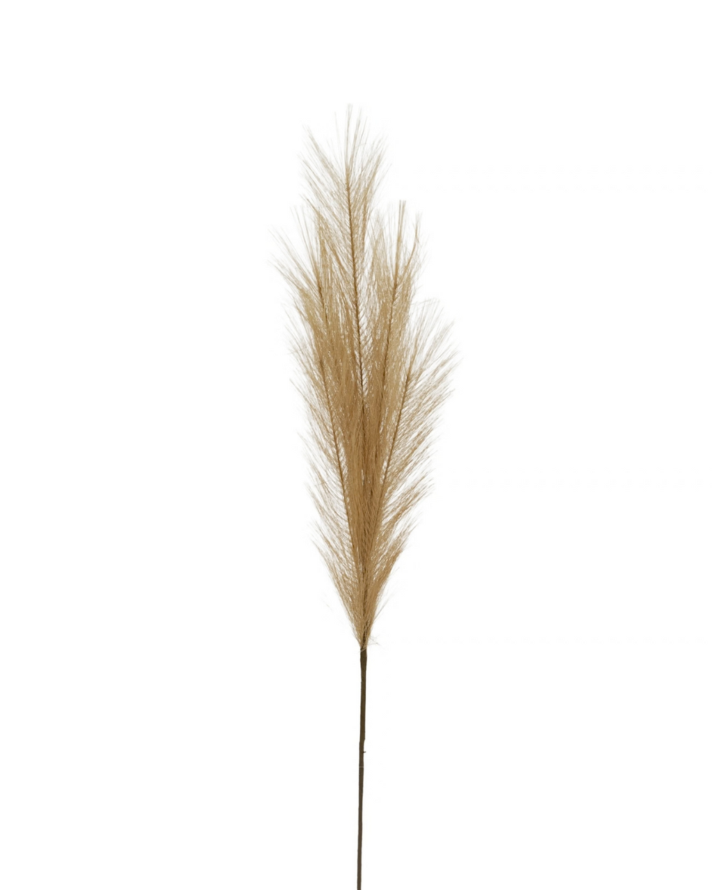 Feather Feel Faux Pampas Grass Stem