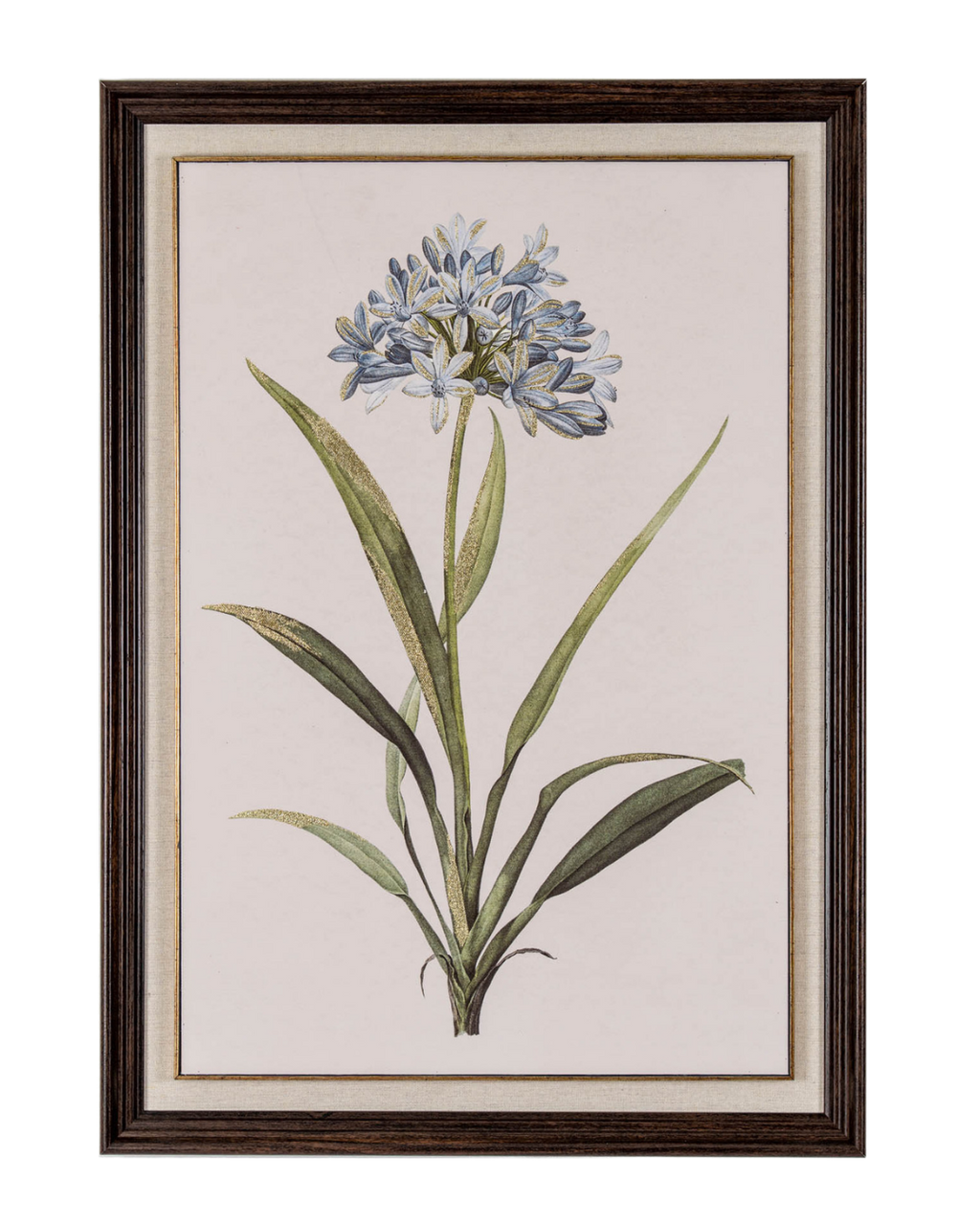 Blue Wildflower in Frame