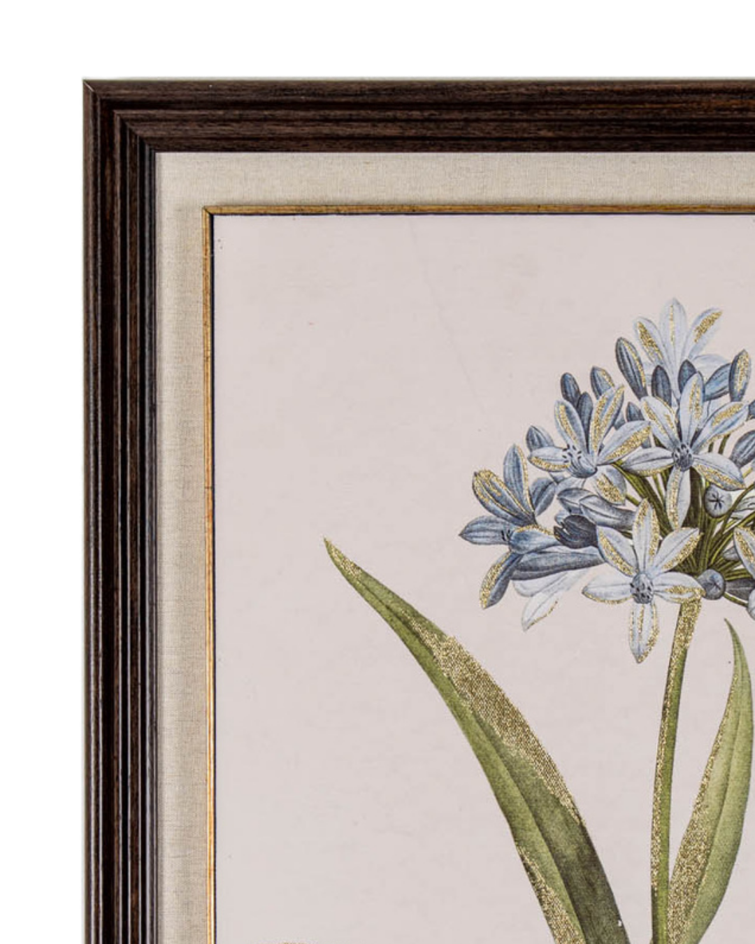 Blue Wildflower in Frame