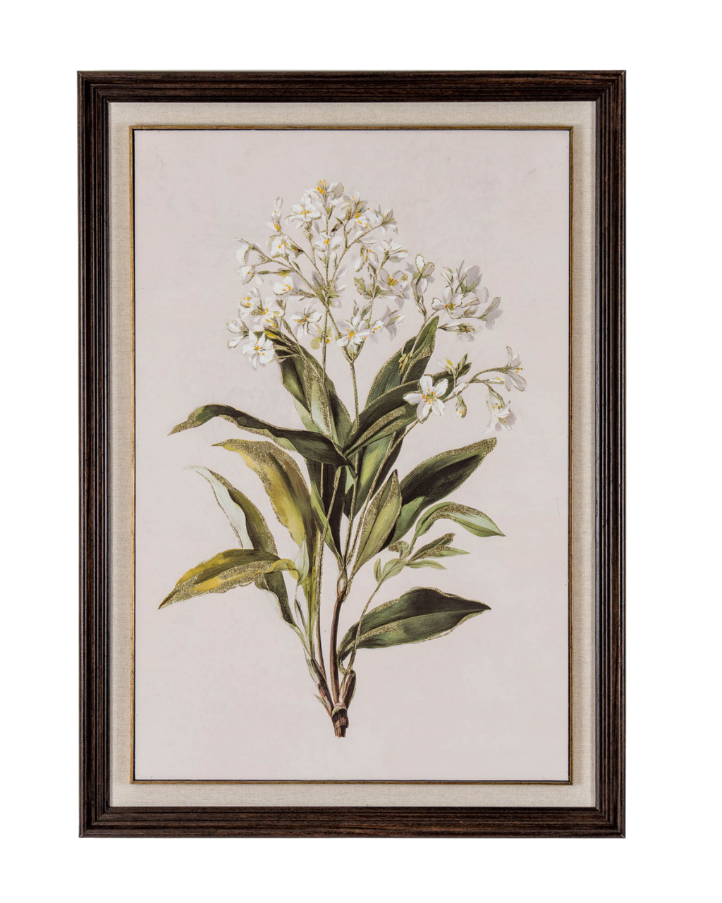 White Wildflower in Frame