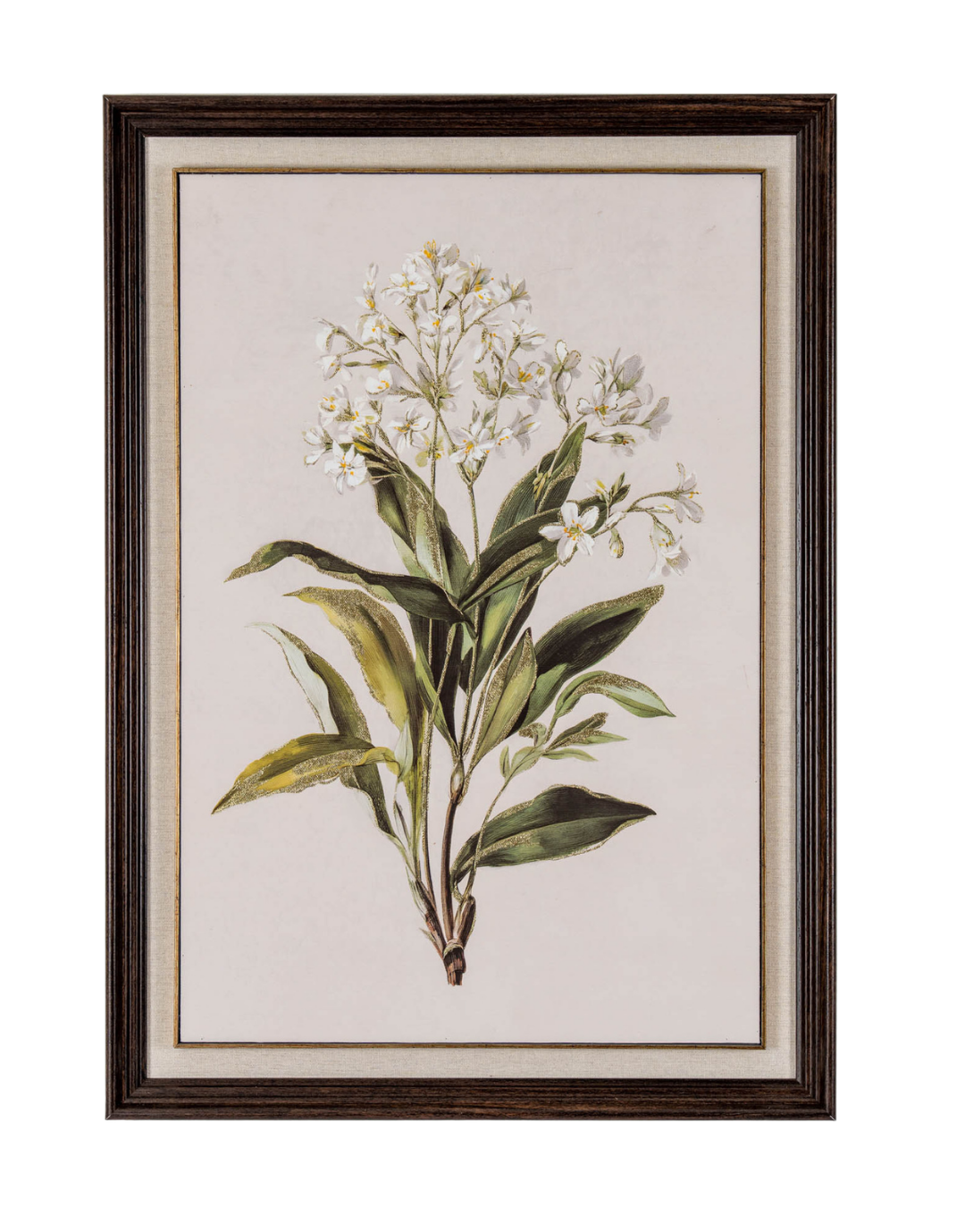 White Wildflower in Frame