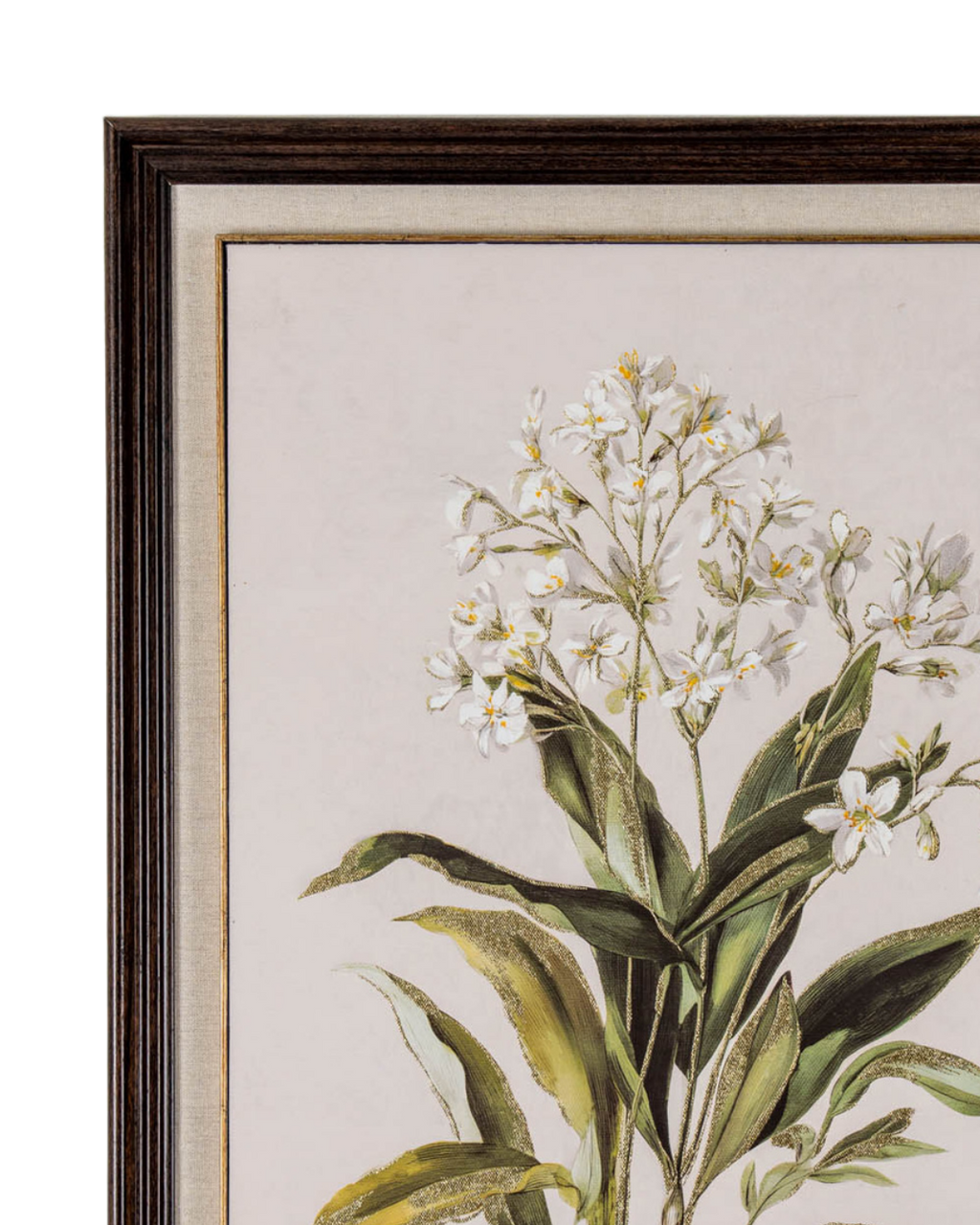 White Wildflower in Frame