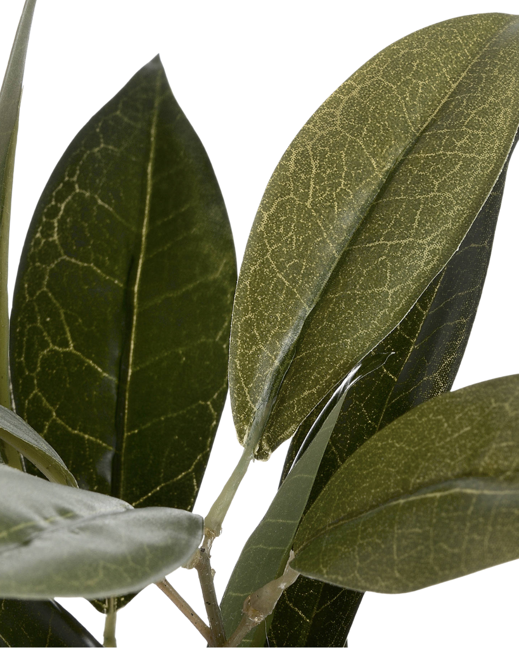 Faux Bay Leaf Stem