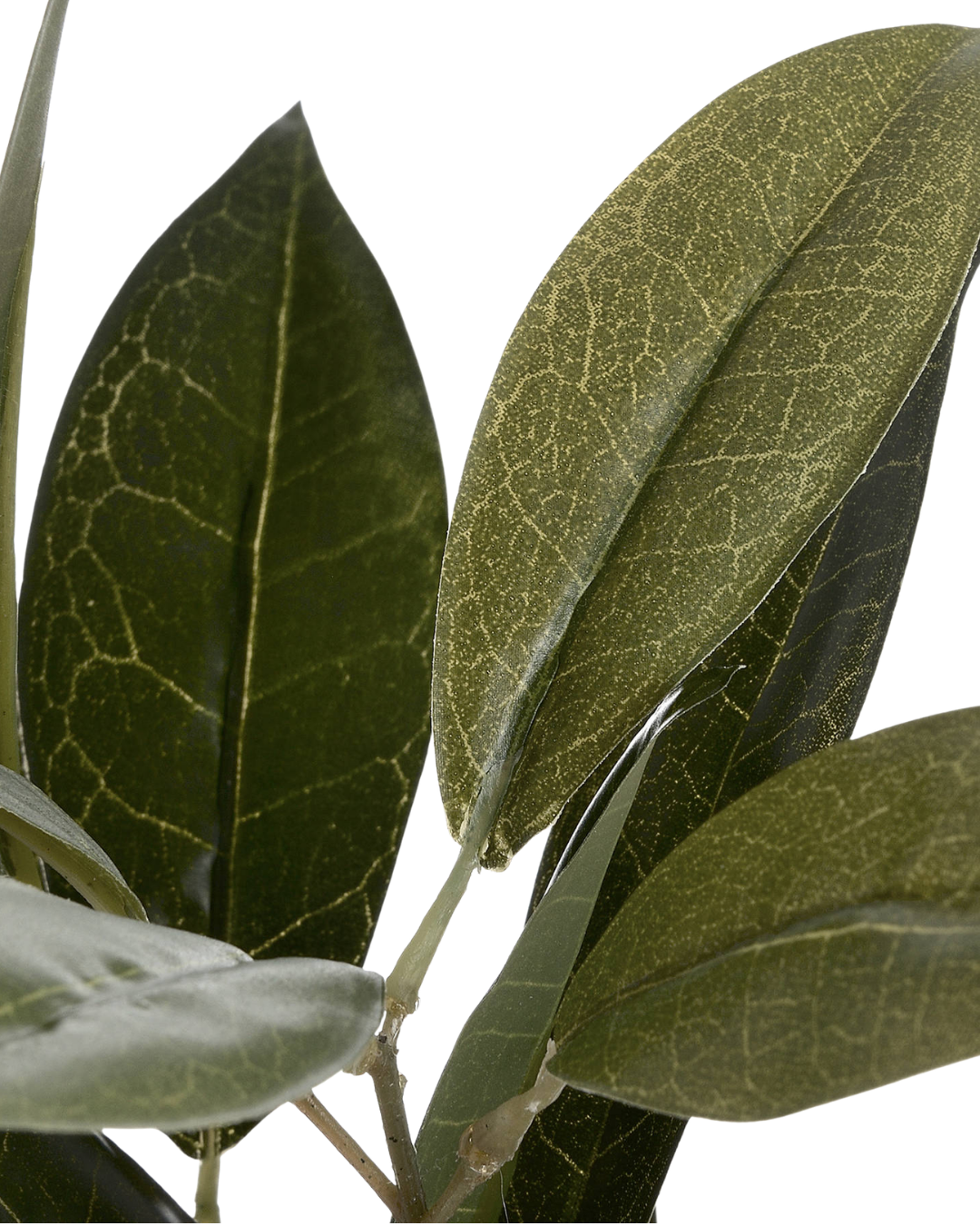 Faux Bay Leaf Stem