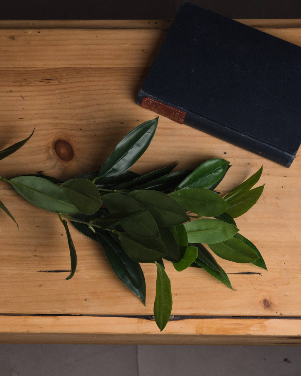 Faux Bay Leaf Stem