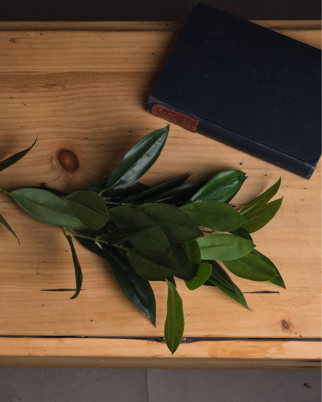 Faux Bay Leaf Stem