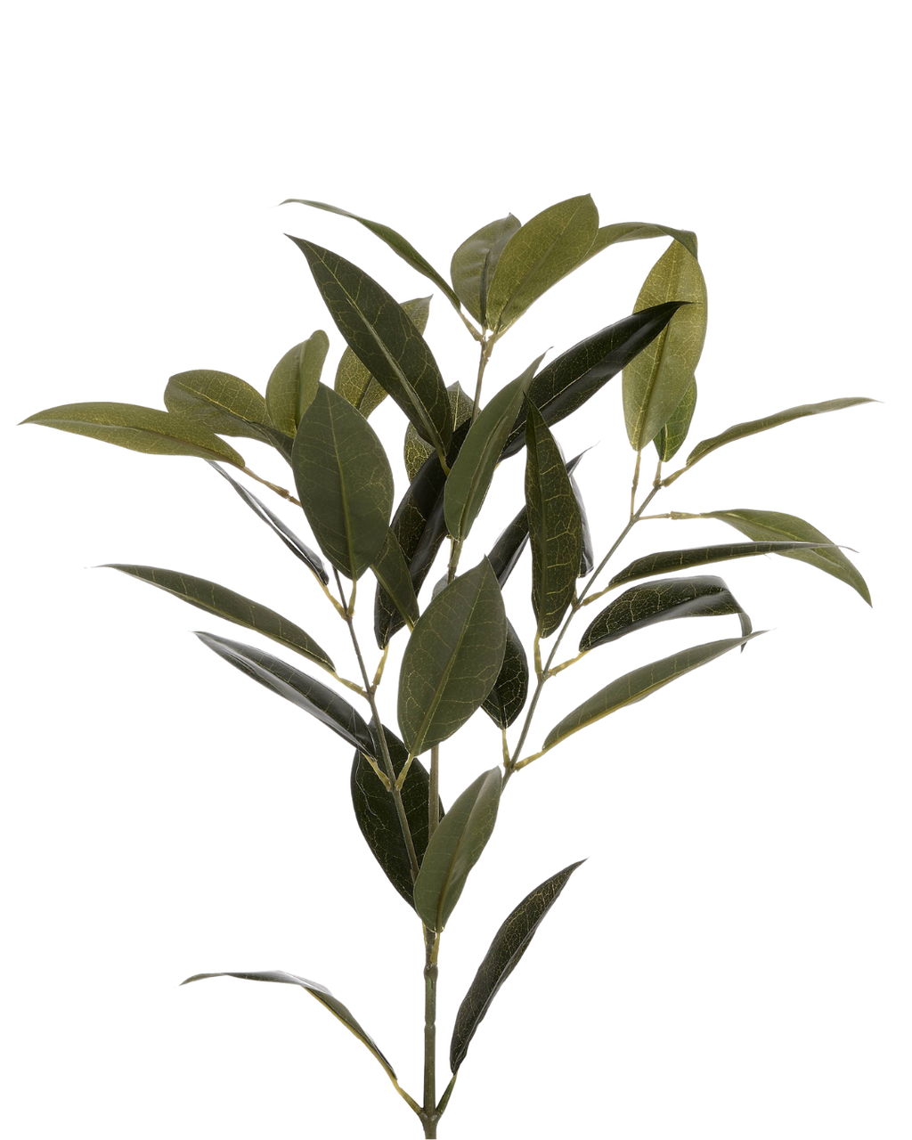 Faux Bay Leaf Stem