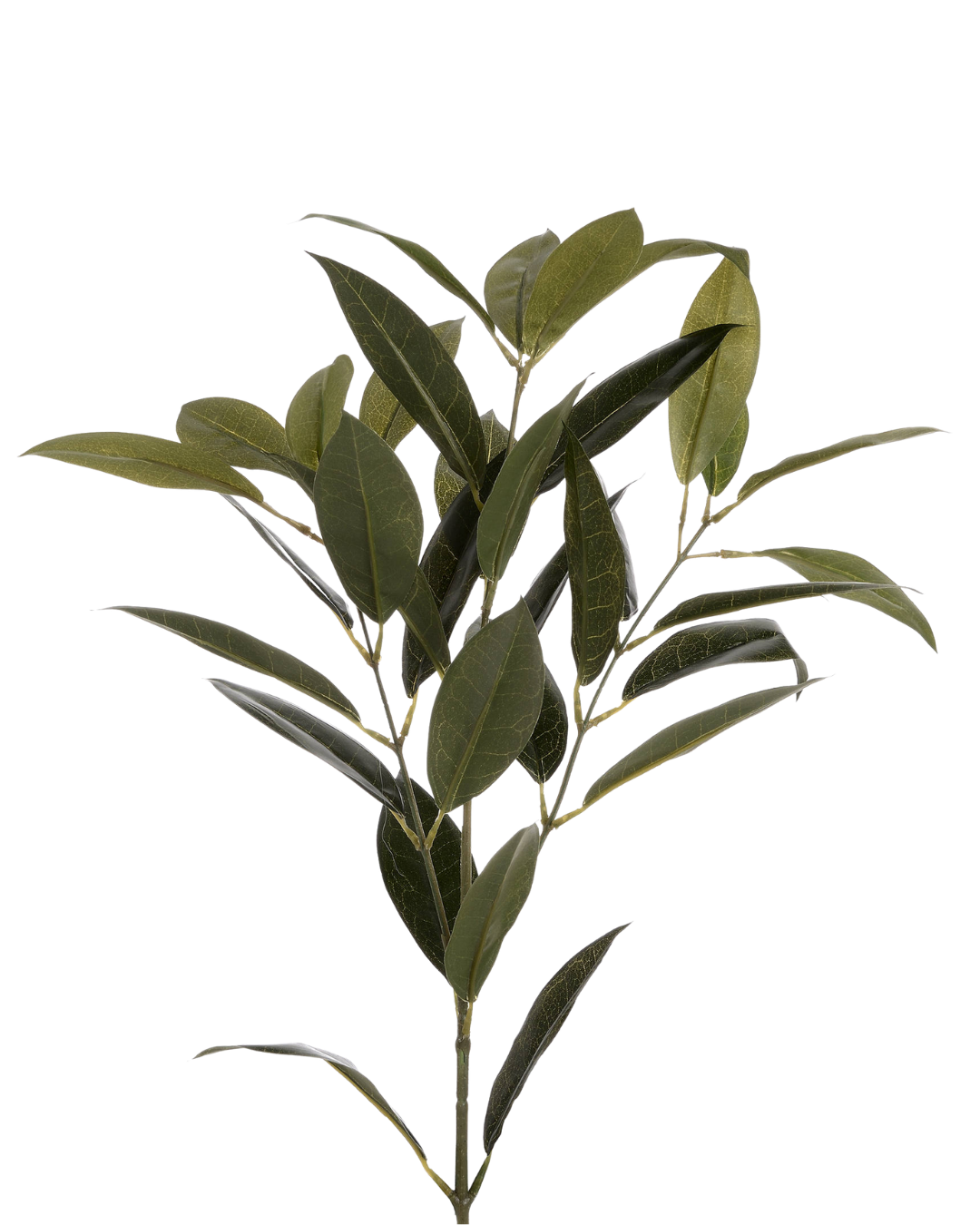 Faux Bay Leaf Stem