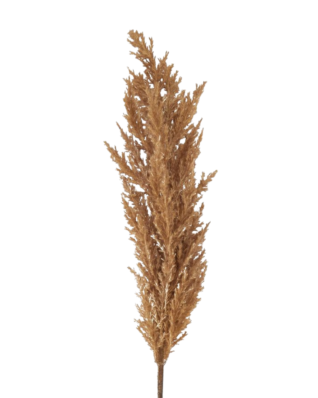 Taupe Faux Dried Pampas Grass Stem