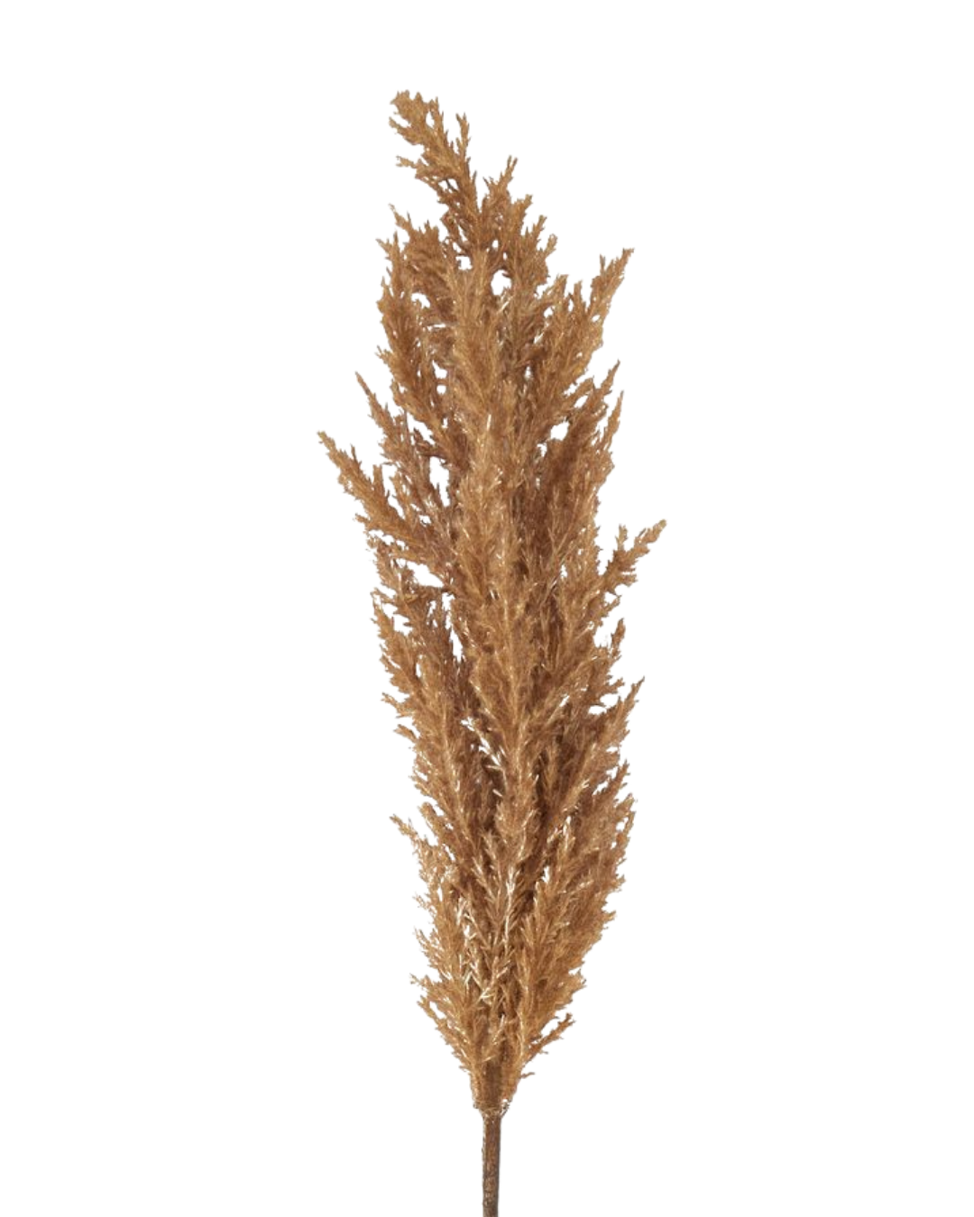 Taupe Faux Dried Pampas Grass Stem