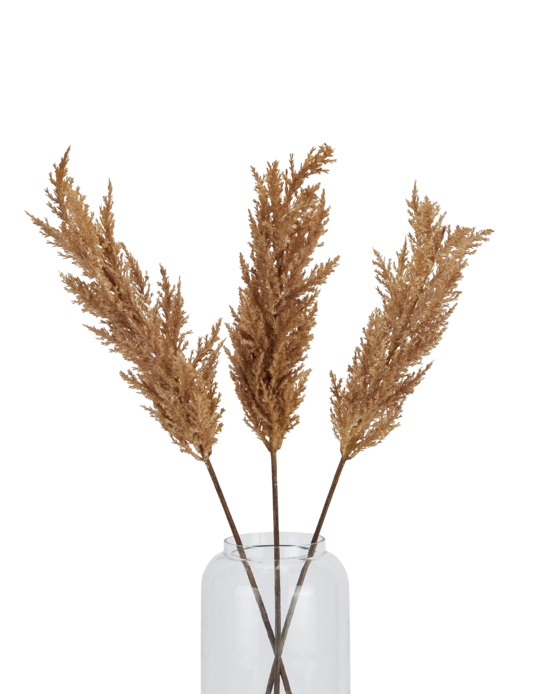 Taupe Faux Dried Pampas Grass Stem