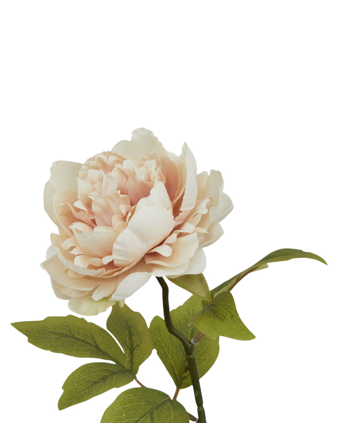Faux Blush Peony