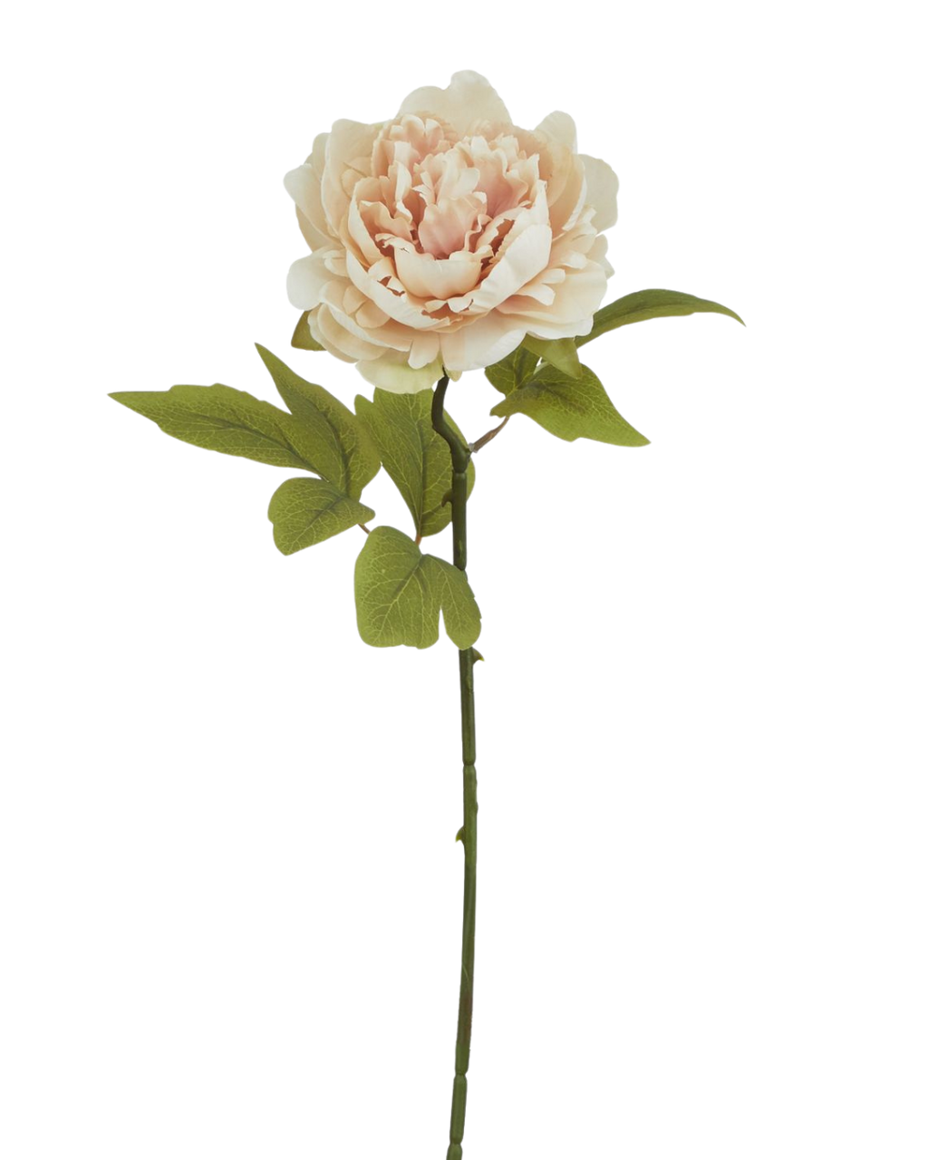 Faux Blush Peony
