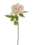 Faux Blush Peony