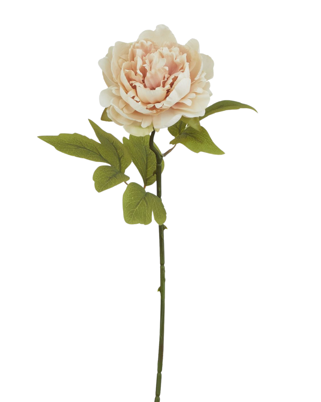 Faux Blush Peony