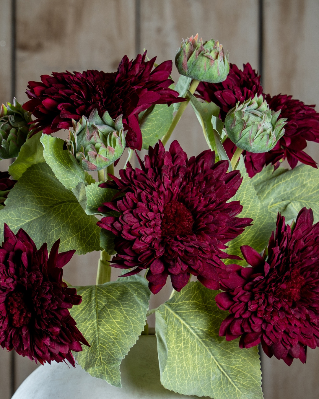 Burgundy Raven Stem Dahlia