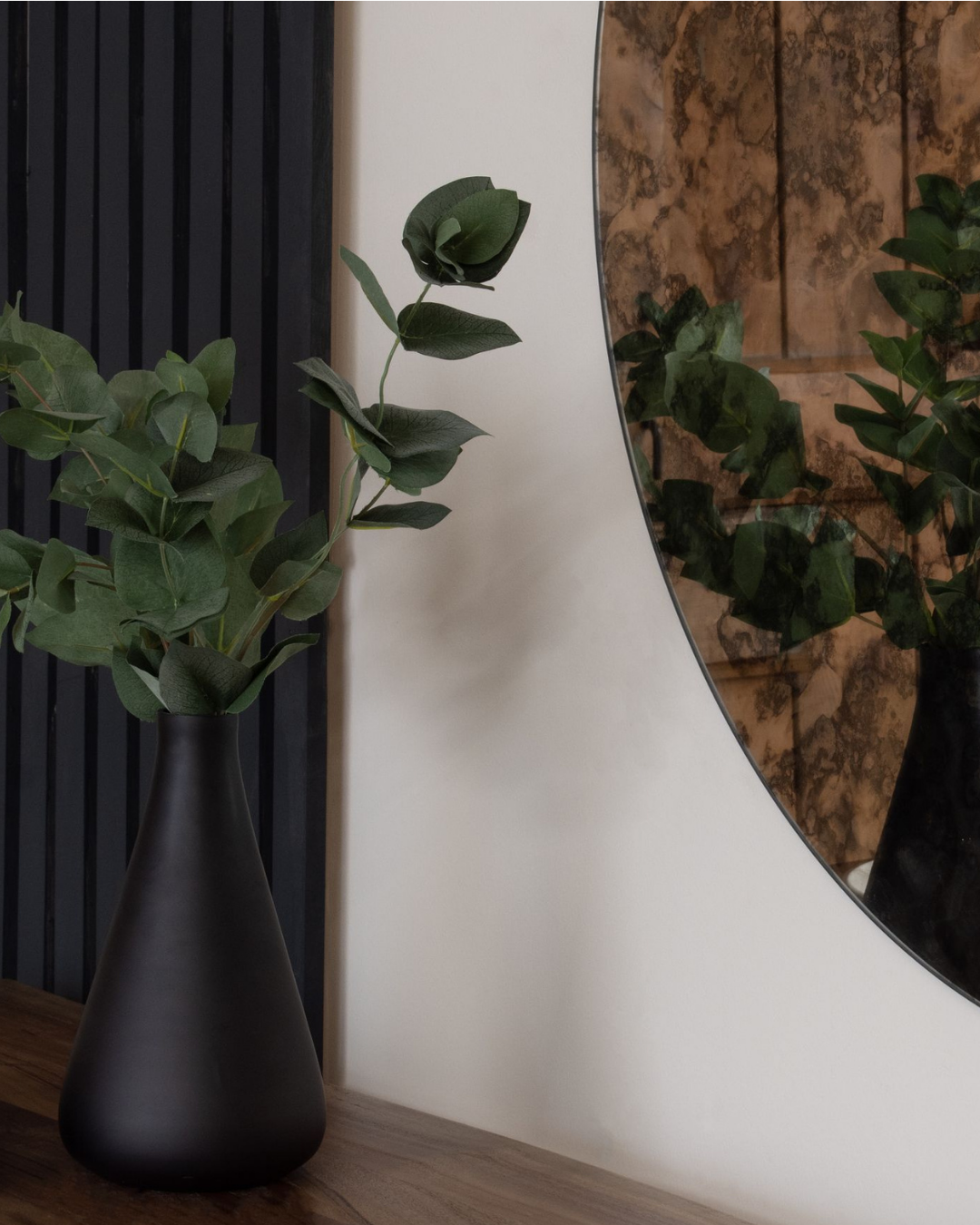 Eucalyptus Stem