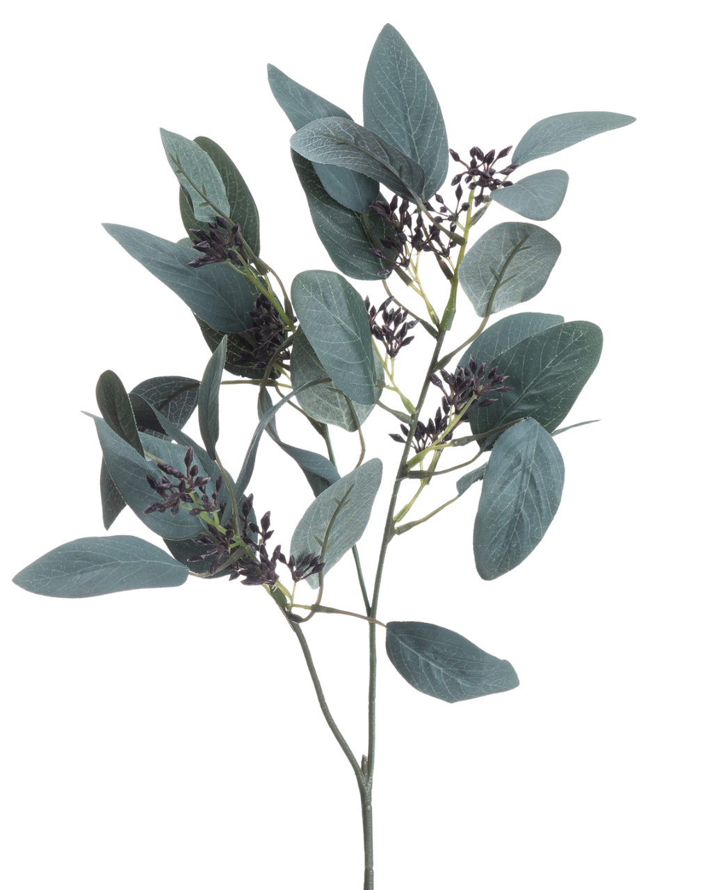 Seeded Eucalyptus Stem