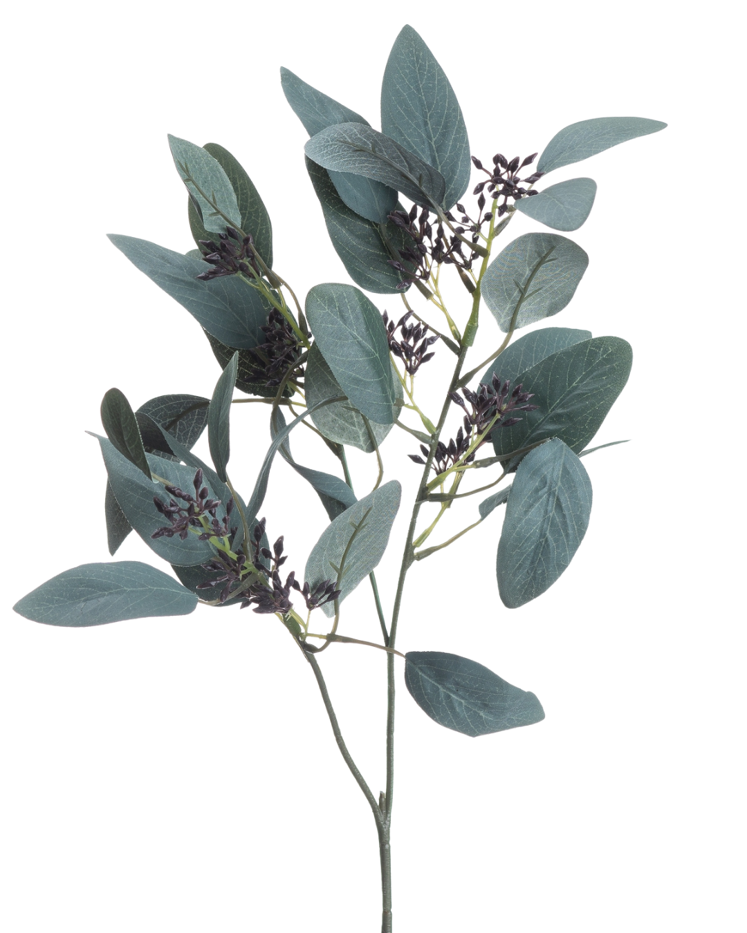 Seeded Eucalyptus Stem