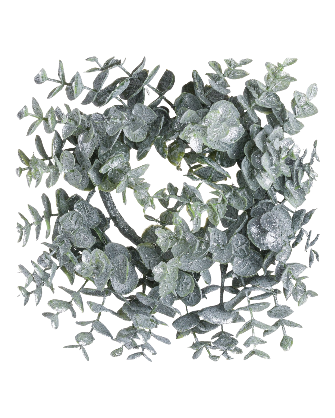 Medium Frosted Eucalyptus Wreath