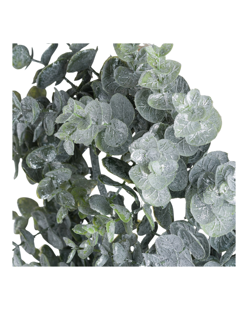 Medium Frosted Eucalyptus Wreath