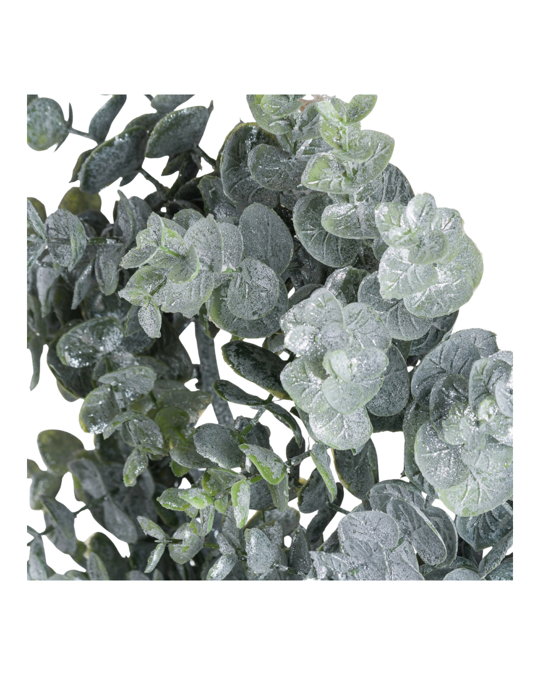 Medium Frosted Eucalyptus Wreath